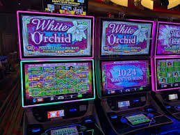 rollingspin slot App 